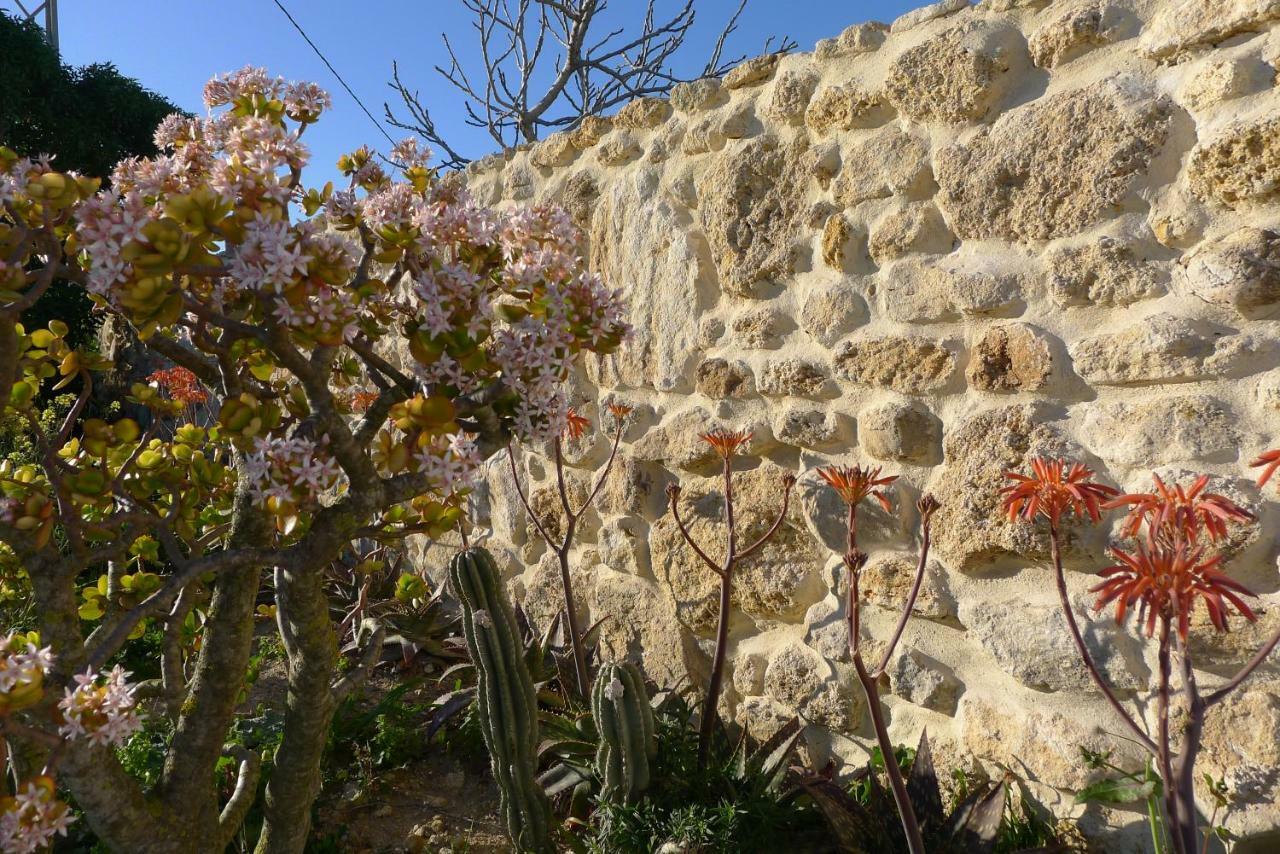Appartement Finca du ressourcement Higueron à Vejer de la Frontera Extérieur photo